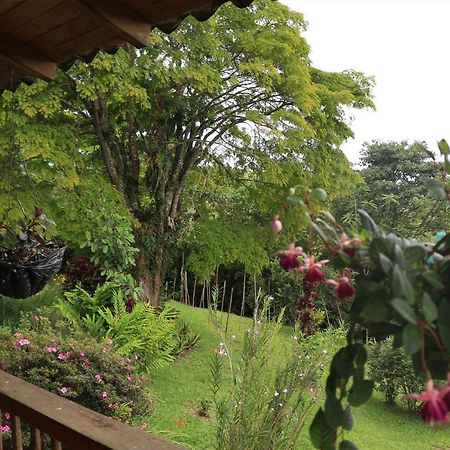 Finca Chalet La Tawa Sevilla  Екстер'єр фото