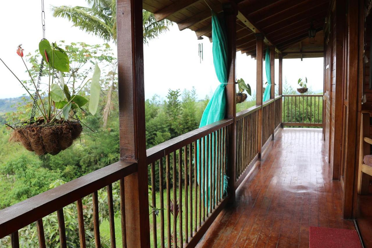 Finca Chalet La Tawa Sevilla  Екстер'єр фото